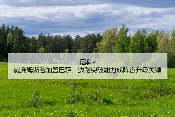 ni-ke-wei-lian-mu-si-ruo-jia-meng-ba-sa-bian-lu-tu-po-neng-li-cheng-zhen-rong-sheng-ji-guan-jian-2-377.jpg